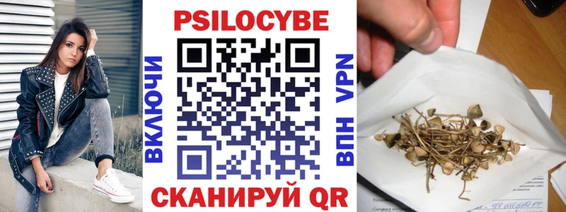 Псилоцибиновые грибы Psilocybine cubensis  Железноводск 