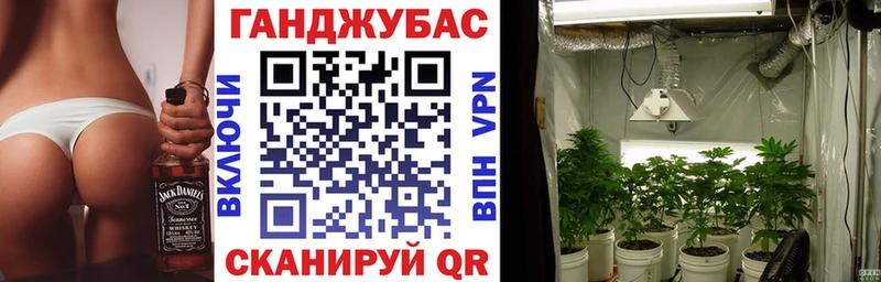 Канабис сатива  mega ТОР  Железноводск  продажа наркотиков 